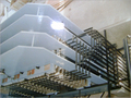 Hydraulic Plywood Presses