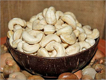 Cashews
