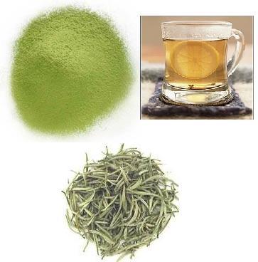 Green Tea Extract