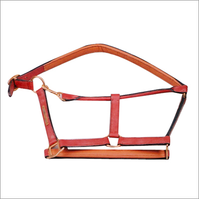 Transport Leather Halter