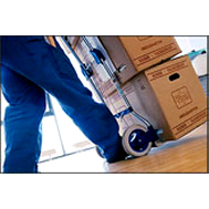 Domestic Services