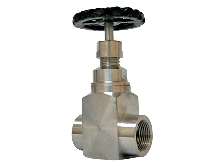 SS Gate Valve