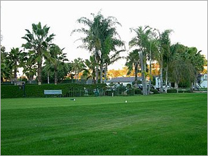Hotel Area