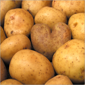Potato