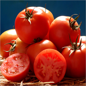 Tomato