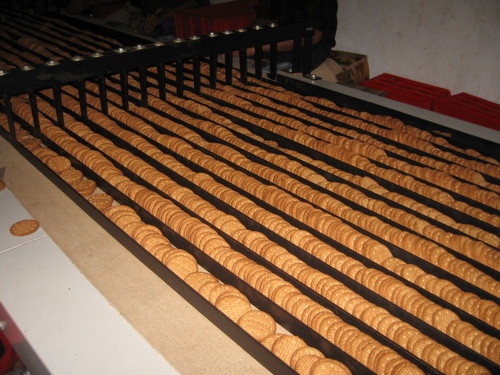 Packing Table Conveyor