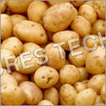 Organic Potatoes
