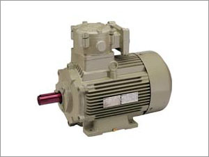 Flame Proof Motors