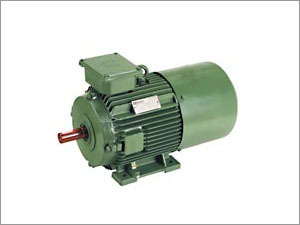Inverter Duty Motors
