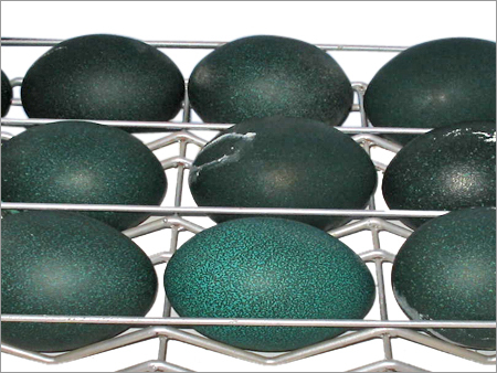 Emu Eggs