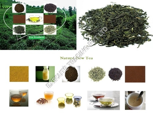 Tea Extract Powder