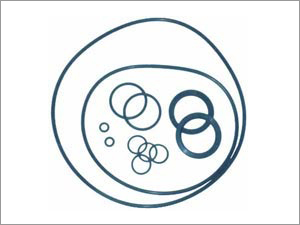 Gaskets