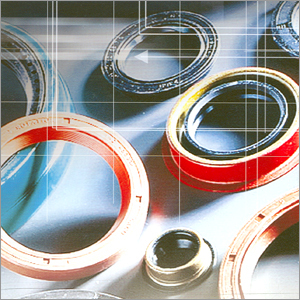 Mould For Oil Seal