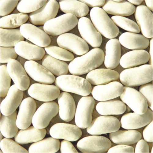 WHITE KIDNEY BEANa S