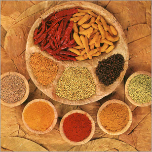 Indian Spices