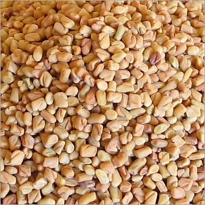 Fenugreek (Methi) Seeds