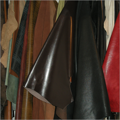 Footwear Leather