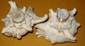 Salt & Pepper Shaker