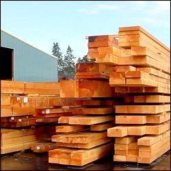 Sal Wood Log By OPS INTERNATIONAL
