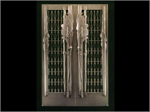 Stainless Steel Door