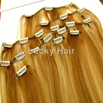 Hair Clip Extensions