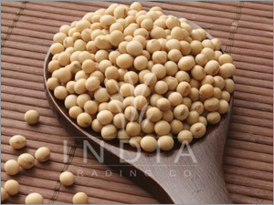 Soyabean