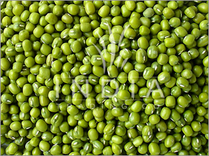 Mung Beans