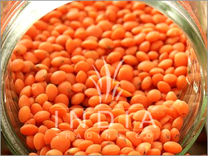 Red Split Lentils