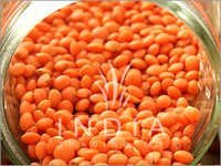 Red Split Lentils