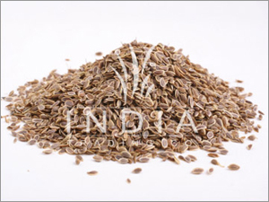 Dill Seeds