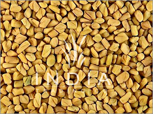 Fenugreek Seeds