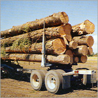 ADV Truck Tyres