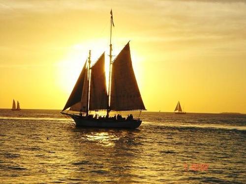 Recruitment & Placement Service License By STEAMSHIPS SHIPPING & LOGISTICS PVT. LTD.