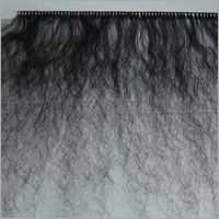 Human Hair