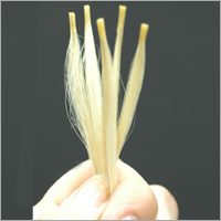 Human Hair