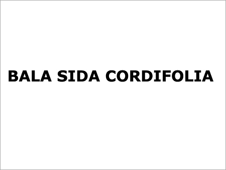 Bala Sida Cordifolia