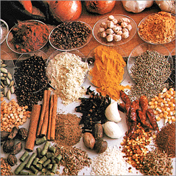 Spices & Seasonings