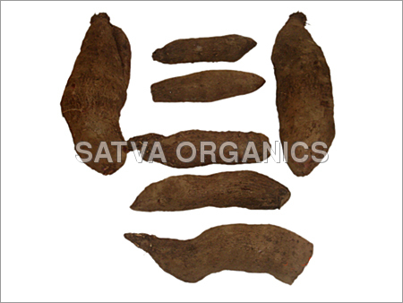 Yam