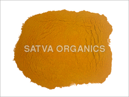Turmeric Powder