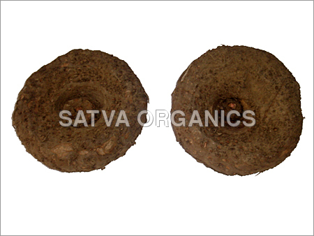 Elephant Foot Yam Tubers