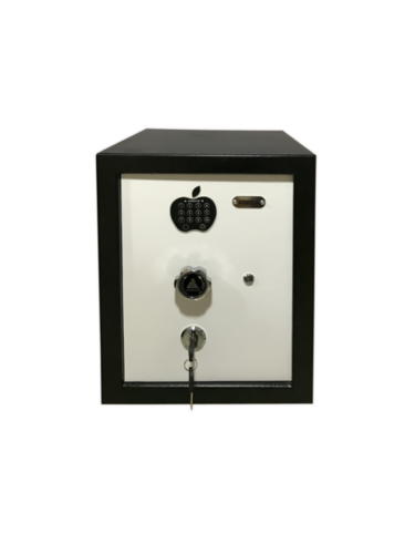 Biometric Safe