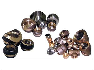 Stainless Steel Forged Fittings