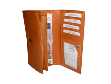 Mini Leather Organizer