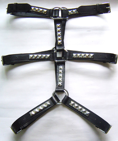 Body Harness