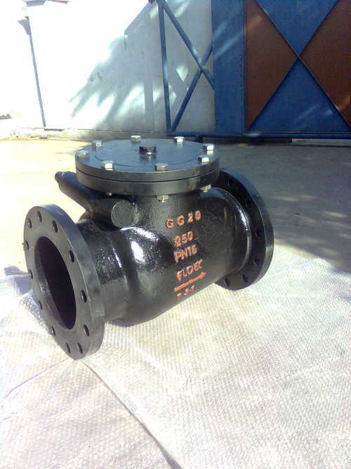 Non Return Valve