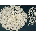 Regular Rice