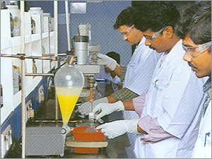 Bulk Drug Intermediates