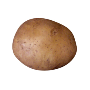 Fresh Potatoes - Variable Weight, Irregular Shape, Brown Color | High Moisture Content, Nutritious, Delicious, Versatile, Easy Storage, High-Yield
