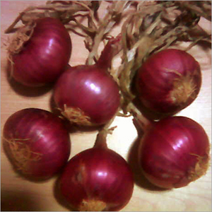 Bangalore Rose Onions