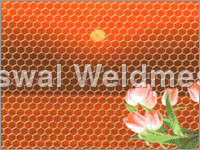Hexagonal Wire Netting